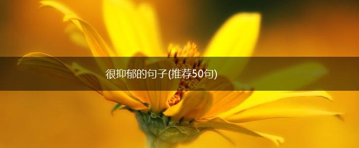 很抑郁的句子(推荐50句),第1张