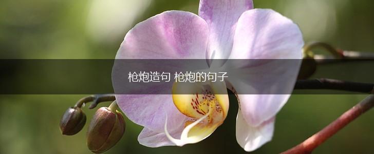 枪炮造句 枪炮的句子,第1张