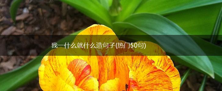我一什么就什么造句子(热门50句),第1张