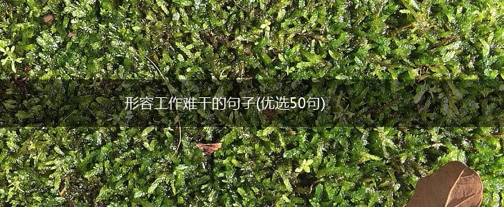 形容工作难干的句子(优选50句),第1张