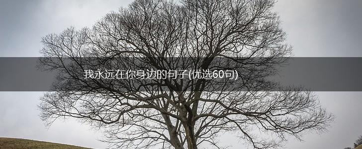 我永远在你身边的句子(优选60句),第1张