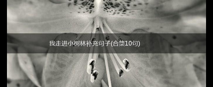 我走进小树林补充句子(合集10句),第1张