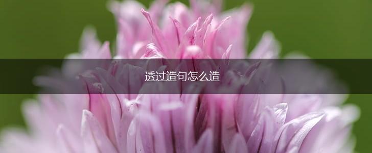 透过造句怎么造,第1张 透过造句怎么造,第1张