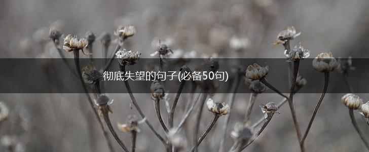彻底失望的句子(必备50句),第1张