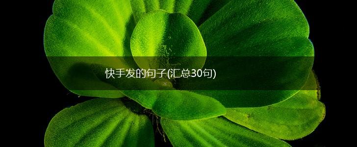 快手发的句子(汇总30句),第1张