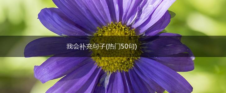 我会补充句子(热门50句),第1张