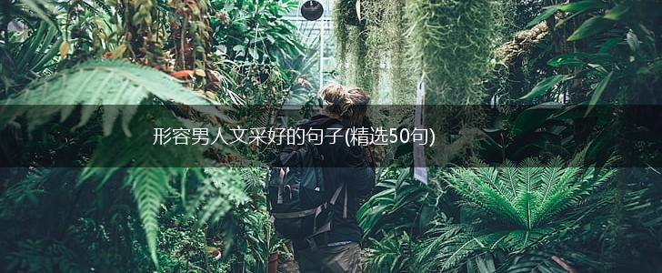 形容男人文采好的句子(精选50句),第1张
