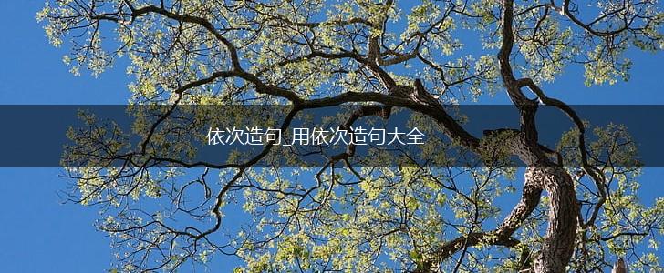 依次造句_用依次造句大全,第1张 依次造句_用依次造句大全,第1张