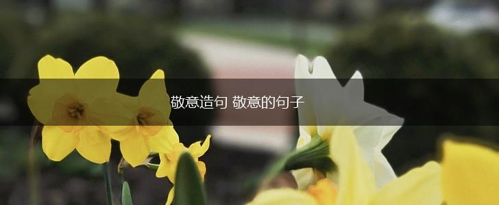 敬意造句 敬意的句子,第1张 敬意造句 敬意的句子,第1张