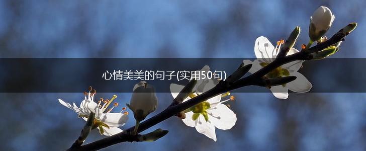 心情美美的句子(实用50句),第1张