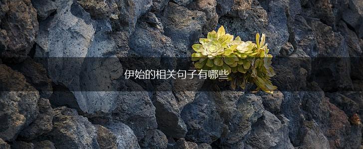 伊始的相关句子有哪些,第1张 伊始的相关句子有哪些,第1张