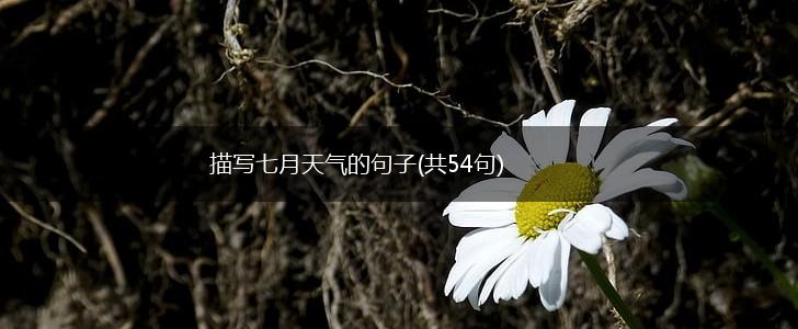 描写七月天气的句子(共54句),第1张