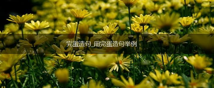 完蛋造句_用完蛋造句举例,第1张 完蛋造句_用完蛋造句举例,第1张