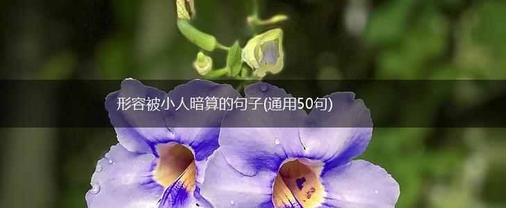 形容被小人暗算的句子(通用50句),第1张