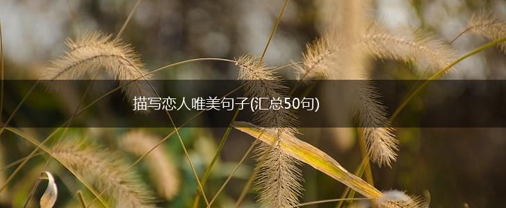 描写恋人唯美句子(汇总50句),第1张