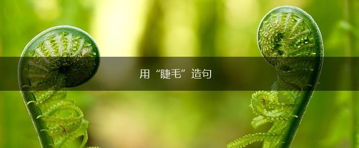 用“睫毛”造句,第1张 用“睫毛”造句,第1张