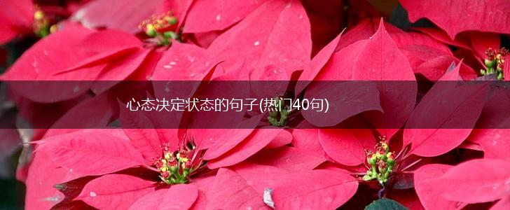 心态决定状态的句子(热门40句),第1张