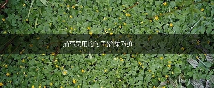 描写吴用的句子(合集7句),第1张