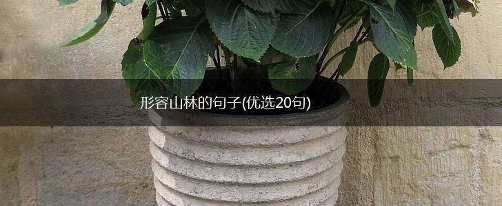 形容山林的句子(优选20句),第1张