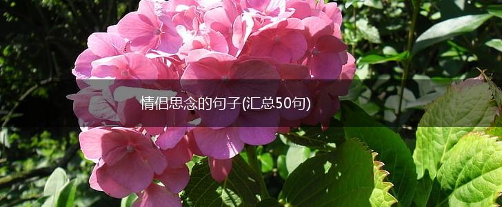 情侣思念的句子(汇总50句),第1张