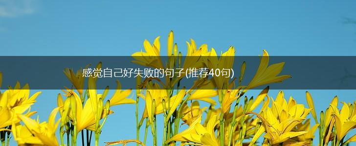 感觉自己好失败的句子(推荐40句),第1张