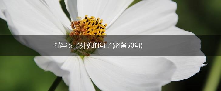 描写女子外貌的句子(必备50句),第1张