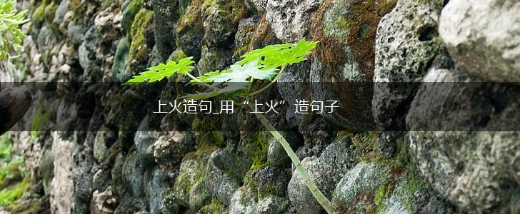 上火造句_用“上火”造句子,第1张