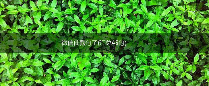 微信催款句子(汇总45句),第1张