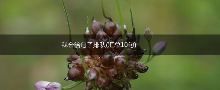 我会给句子排队(汇总10句),第1张