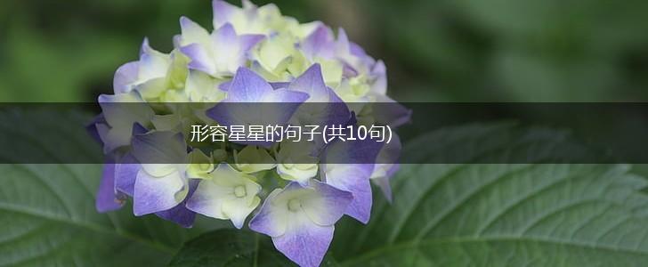 形容星星的句子(共10句),第1张