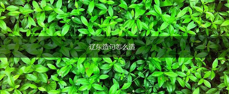 辽东造句怎么造,第1张 辽东造句怎么造,第1张