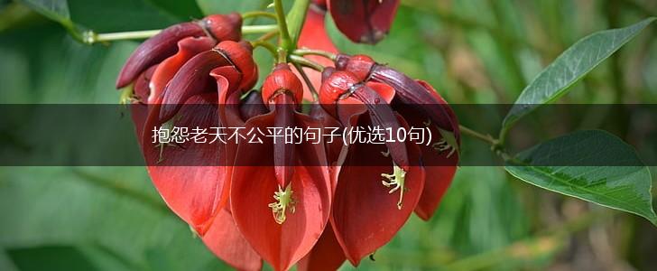 抱怨老天不公平的句子(优选10句),第1张