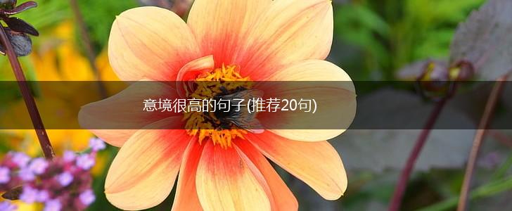 意境很高的句子(推荐20句),第1张
