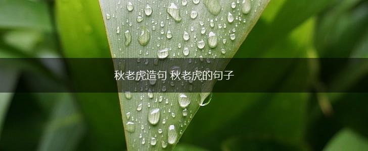 秋老虎造句 秋老虎的句子,第1张 秋老虎造句 秋老虎的句子,第1张