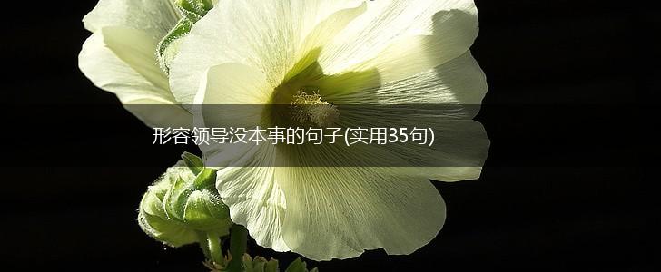 形容领导没本事的句子(实用35句),第1张