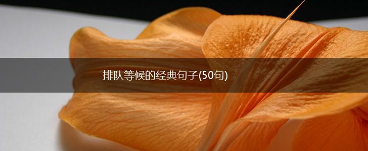 排队等候的经典句子(50句),第1张