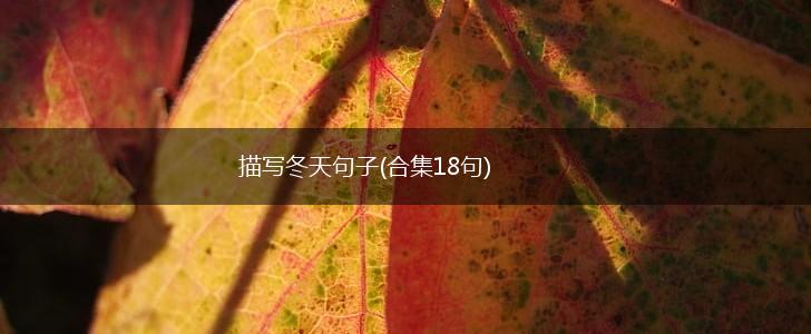 描写冬天句子(合集18句),第1张