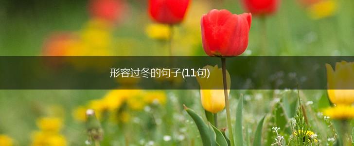 形容过冬的句子(11句),第1张