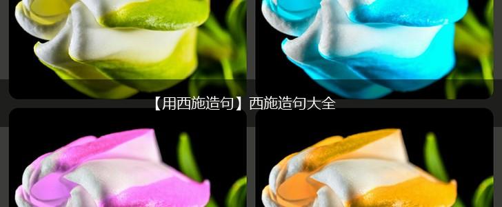 【用西施造句】西施造句大全,第1张 【用西施造句】西施造句大全,第1张