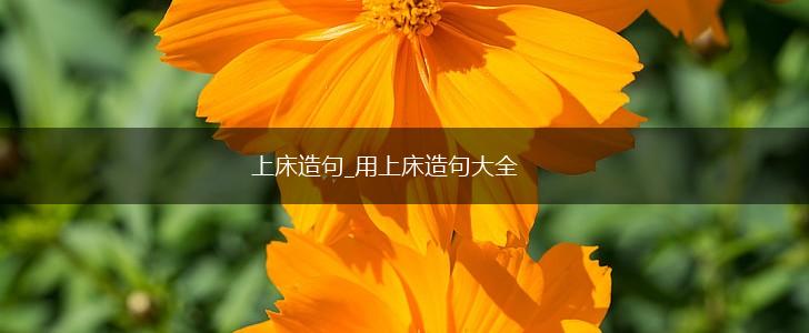 上床造句_用上床造句大全,第1张