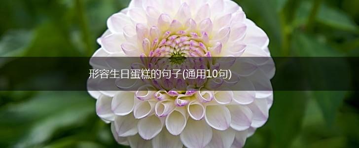 形容生日蛋糕的句子(通用10句),第1张