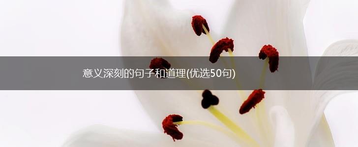 意义深刻的句子和道理(优选50句),第1张