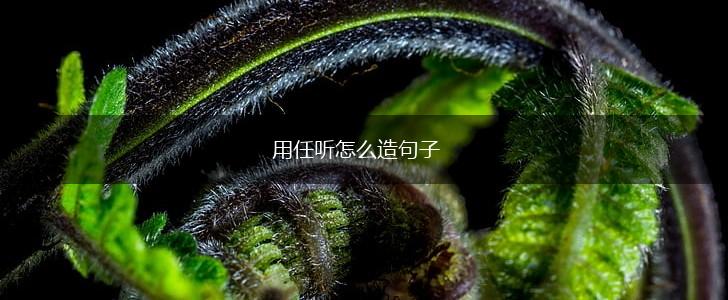 用任听怎么造句子,第1张