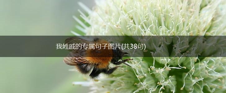 我姓戚的专属句子图片(共38句),第1张