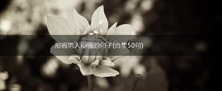 形容男人闷骚的句子(合集50句),第1张