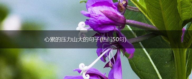 心累的压力山大的句子(热门50句),第1张