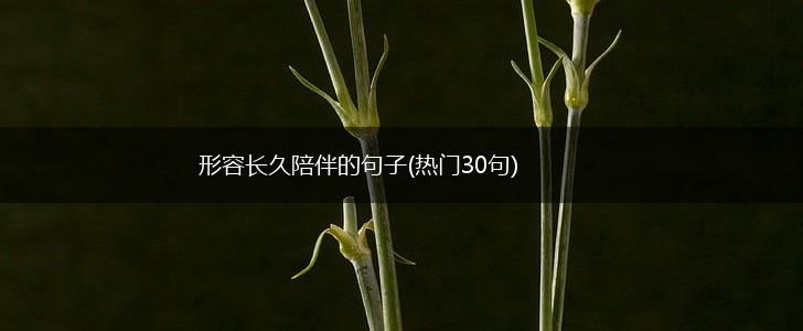 形容长久陪伴的句子(热门30句),第1张