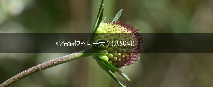 心情愉快的句子大全(共50句),第1张