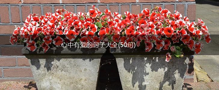 心中有爱的句子大全(50句),第1张