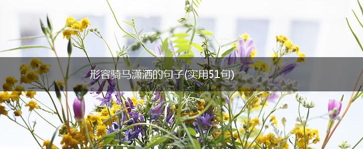 形容骑马潇洒的句子(实用51句),第1张